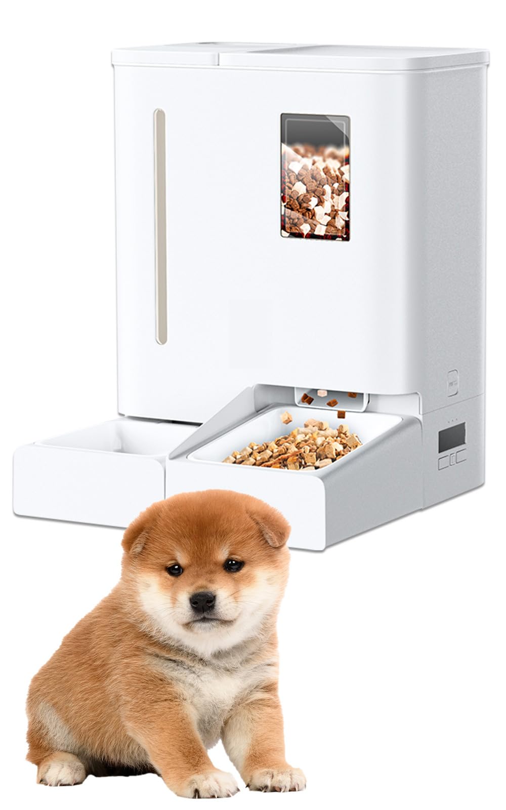 Amazon.co.jp: BLIXIA（ブリシア）公式: タイマー式自動給餌器