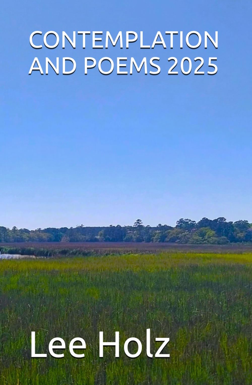 CONTEMPLATION AND POEMS 2025