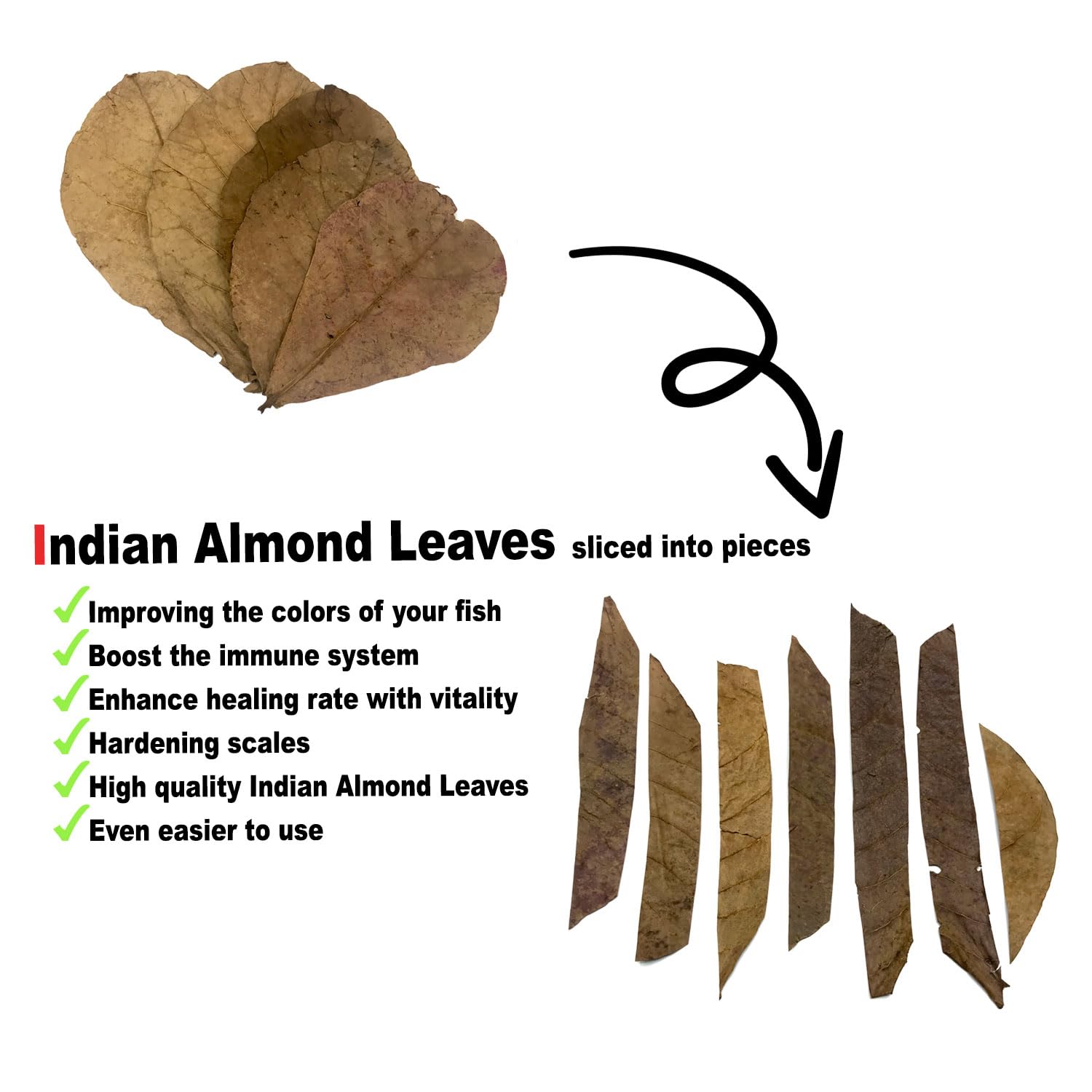 BettaLeaf Comfort Zone Fish Indian Almond Leaves Slice in Pieces Leaf ready to use 45 Grams Pack (80~100 Pieces) - Image 3