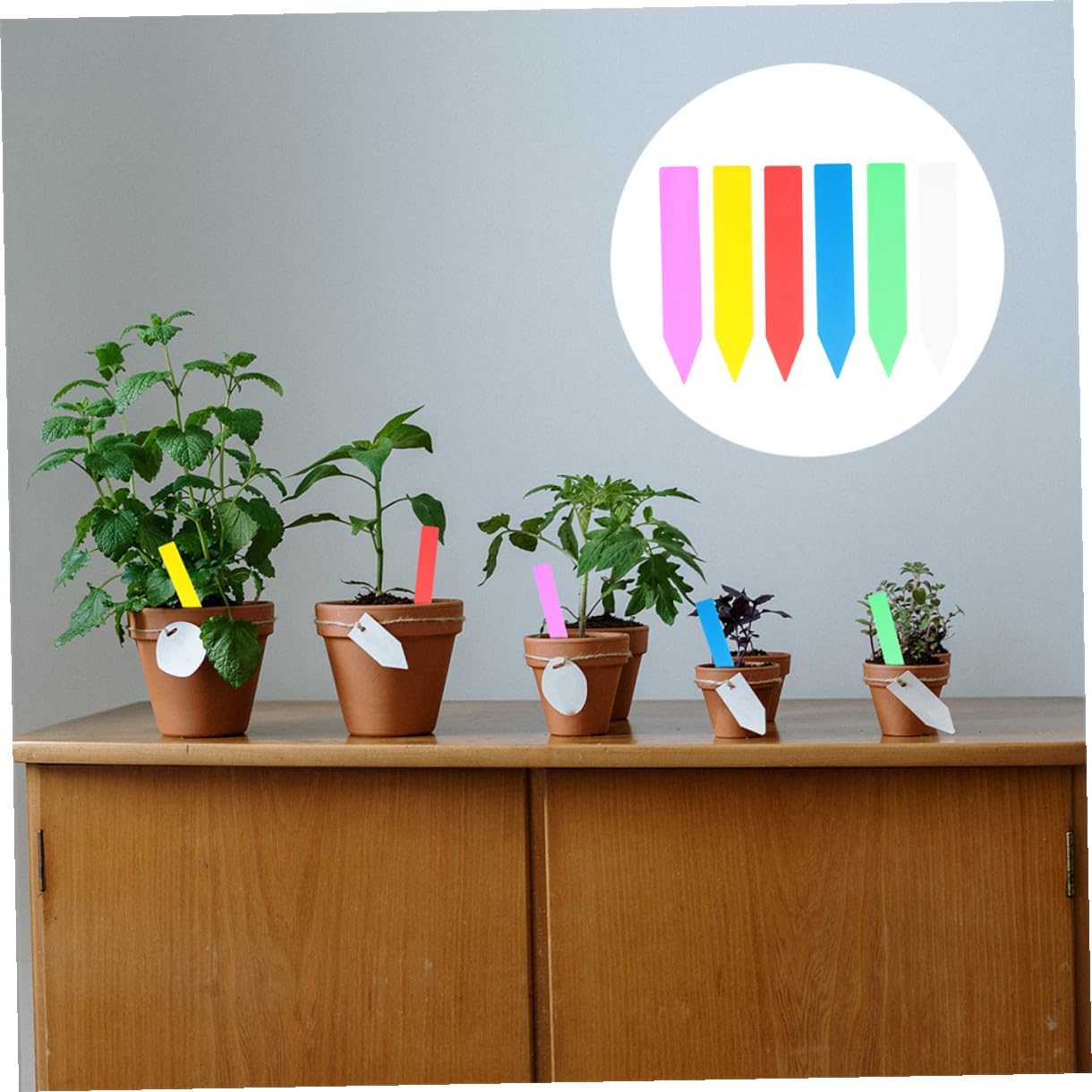 600pcs Plastic Plant Labels Stakes Garden Plant Markers Multi-Color Small Waterproof Tags 10x1.8cm for Outdoor and Indoor Gardening