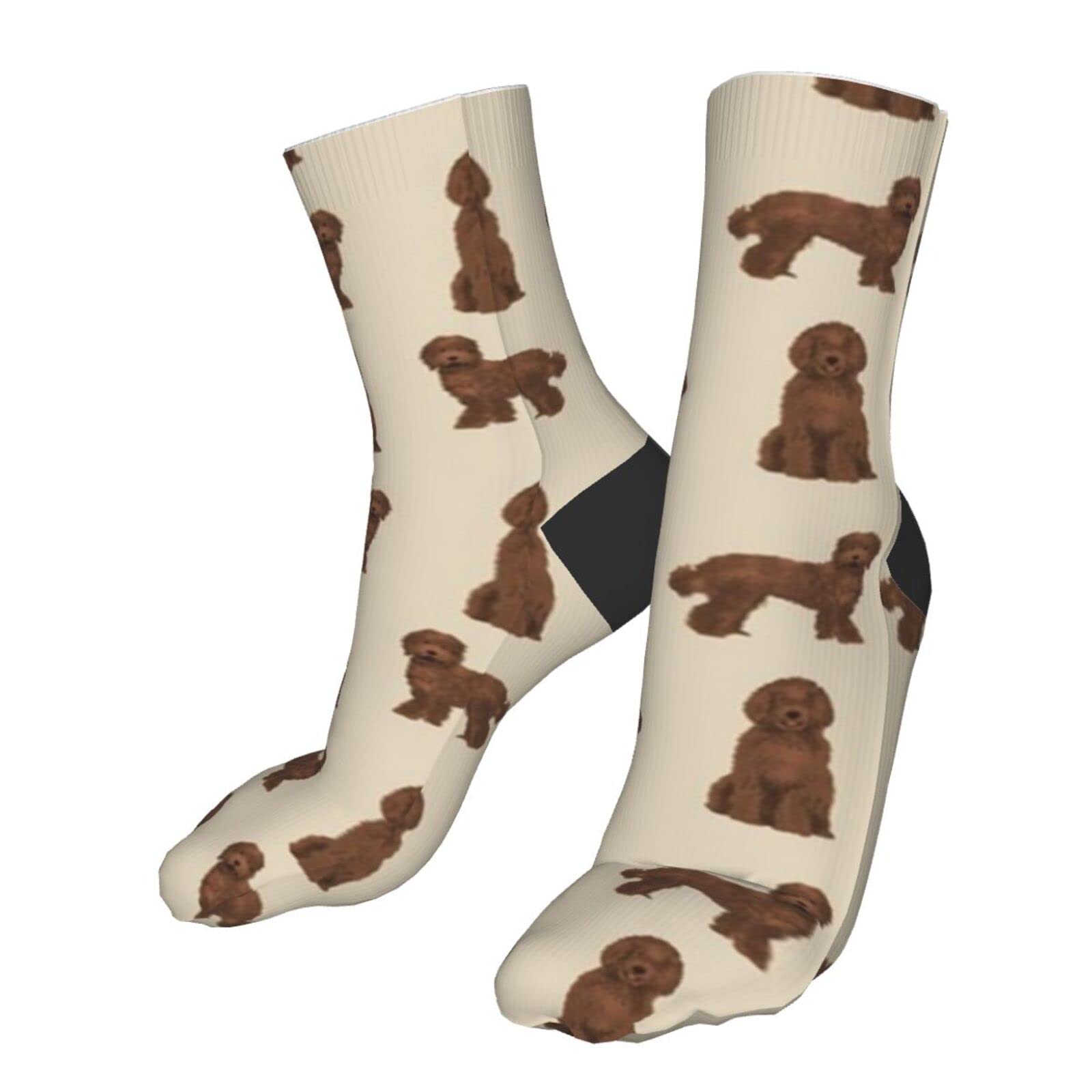 Labradoodle Dog Chocolate Labradoodles Design Tan Athletic Socks Sport Running Calf Socks Performance Cushioned Breathable Crew Socks for Men Wome