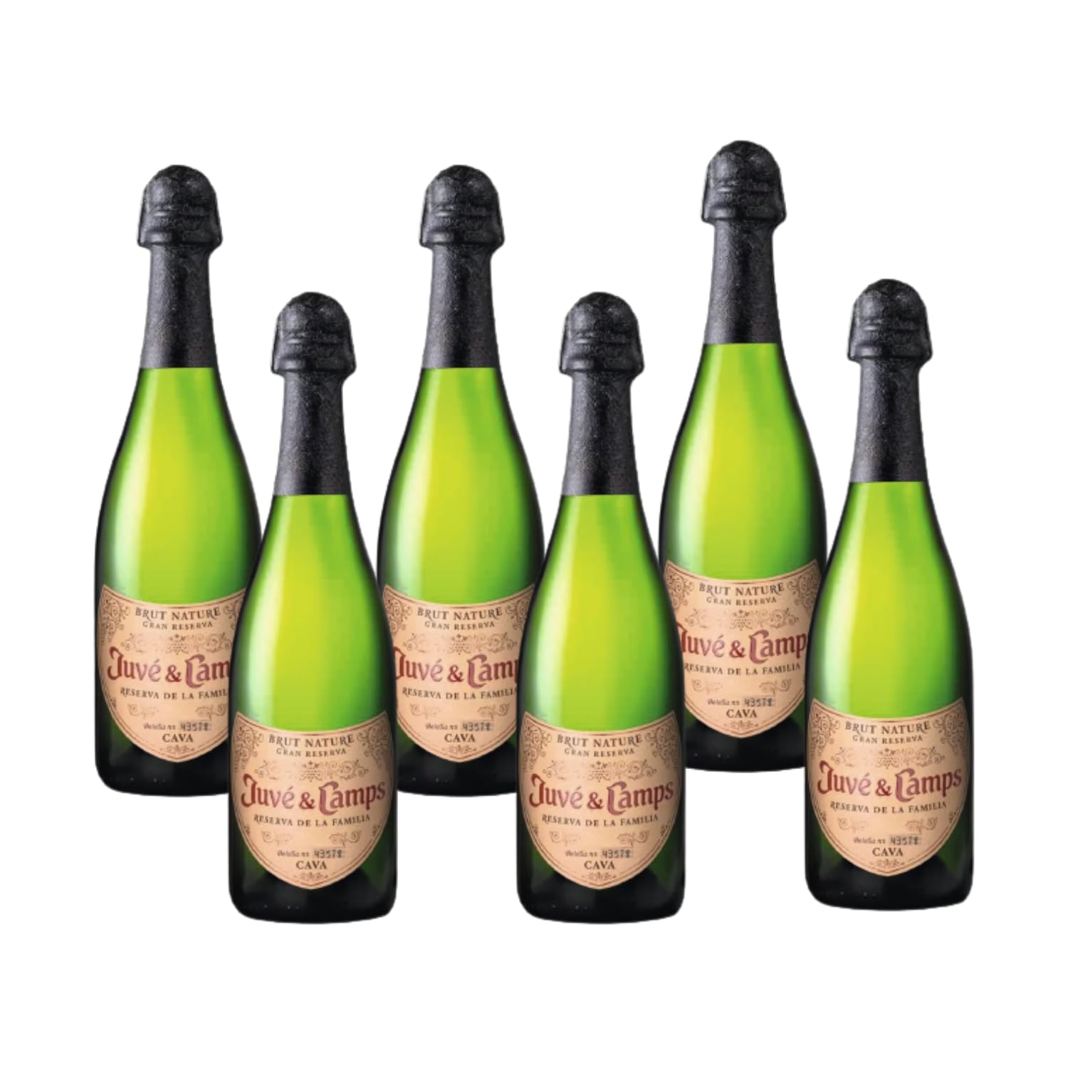 Cava Juvé & Camps Reserva Familia | 6 Botellas Espumoso Juve Camps x75 cl | Mejor Selección ENOVINOS