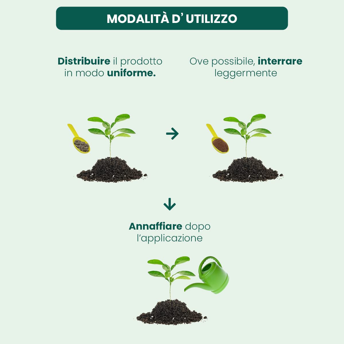 Concime Granulare Per Prato Il Paese Verde - 1kg Per 25mq Con Azoto A Lento Rilascio - Foto 10