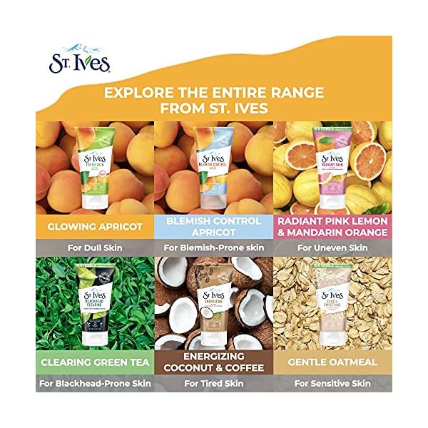 St-Ives-Acne-Control-Face-Scrub-Deeply-Exfoliates-and-Prevents-Acne-for-Smooth-Glowing-Skin-Apricot-Made-with-Oil-Free-Salicylic-Acid-Acne-Medication-Made-with-100-percent-Natural-Exfoliants-6-oz St. Ives Acne Control Face Scrub Deeply Exfoliates and Prevents Acne for Smooth, Glowing Skin Apricot Made with Oil-Free Salicylic Acid Acne Medication, Made with 100% Natural Exfoliants 6 oz