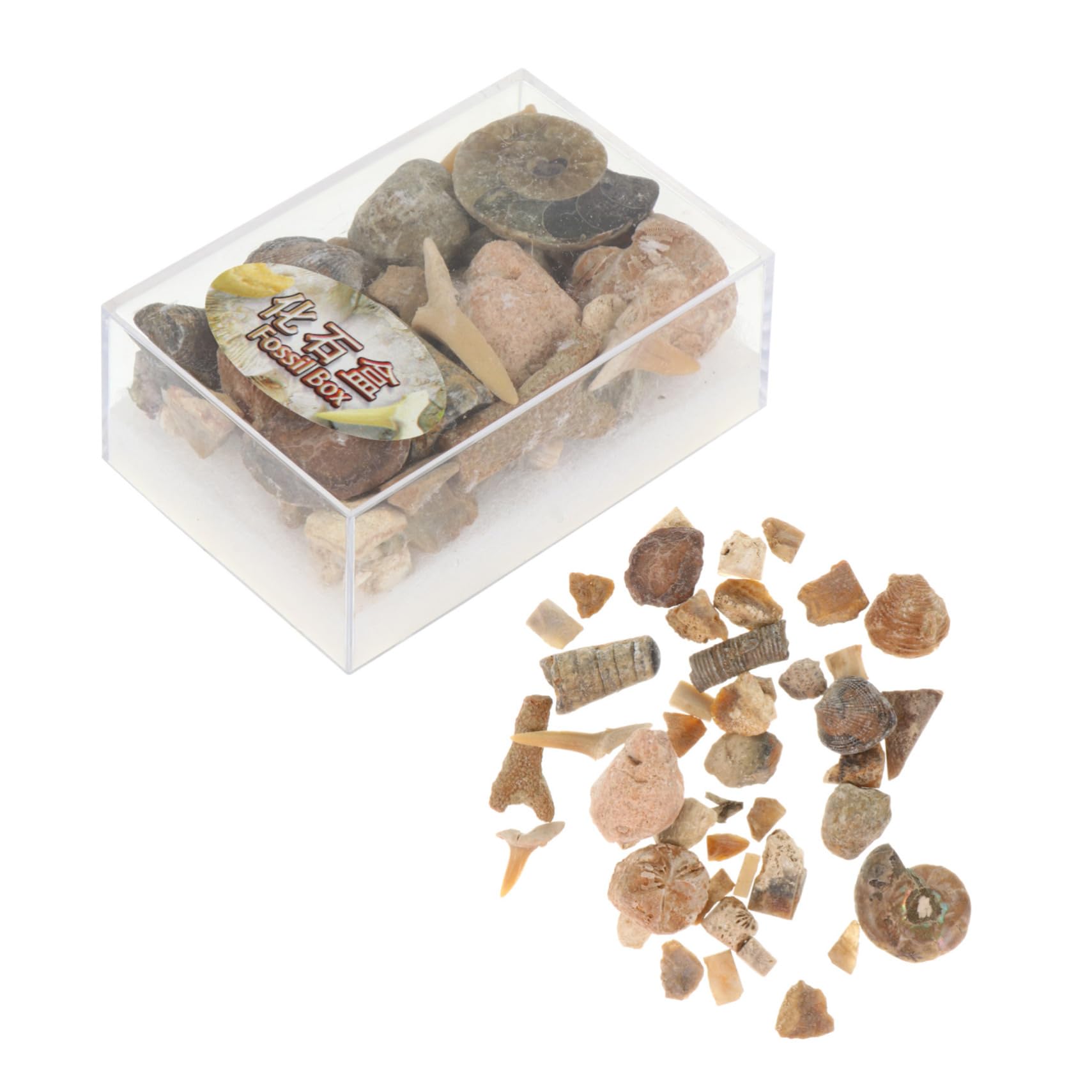 ULTECHNOVO Unique Natural Ore Specimens Collection Box of Genuine Stones for Boys and Girls School Education Home Decor and Craft Making