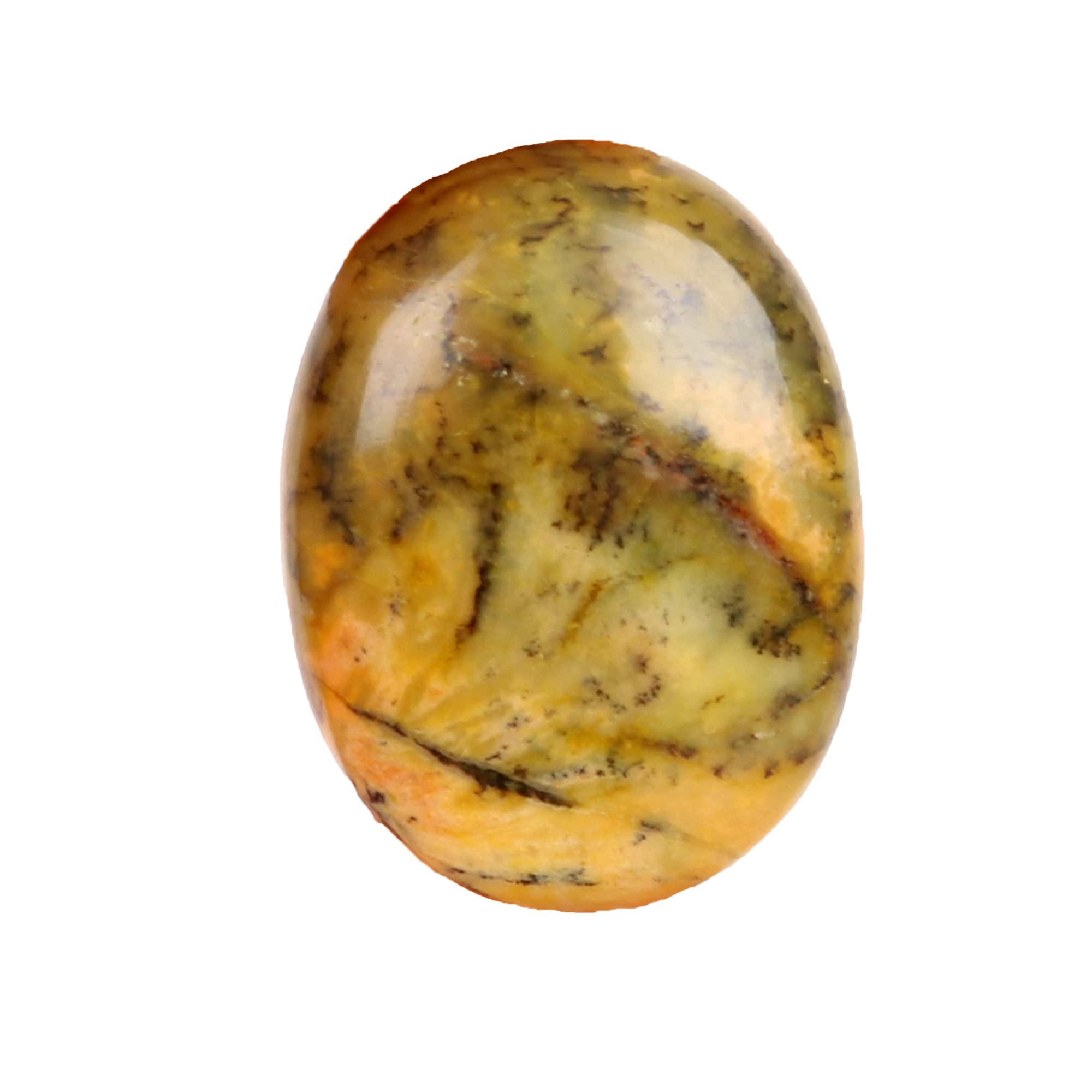 REAL-GEMSCertified Natural Black Feather Agate 12 Ct. Perfect Oval Shape Loose Gemstone AXB-772