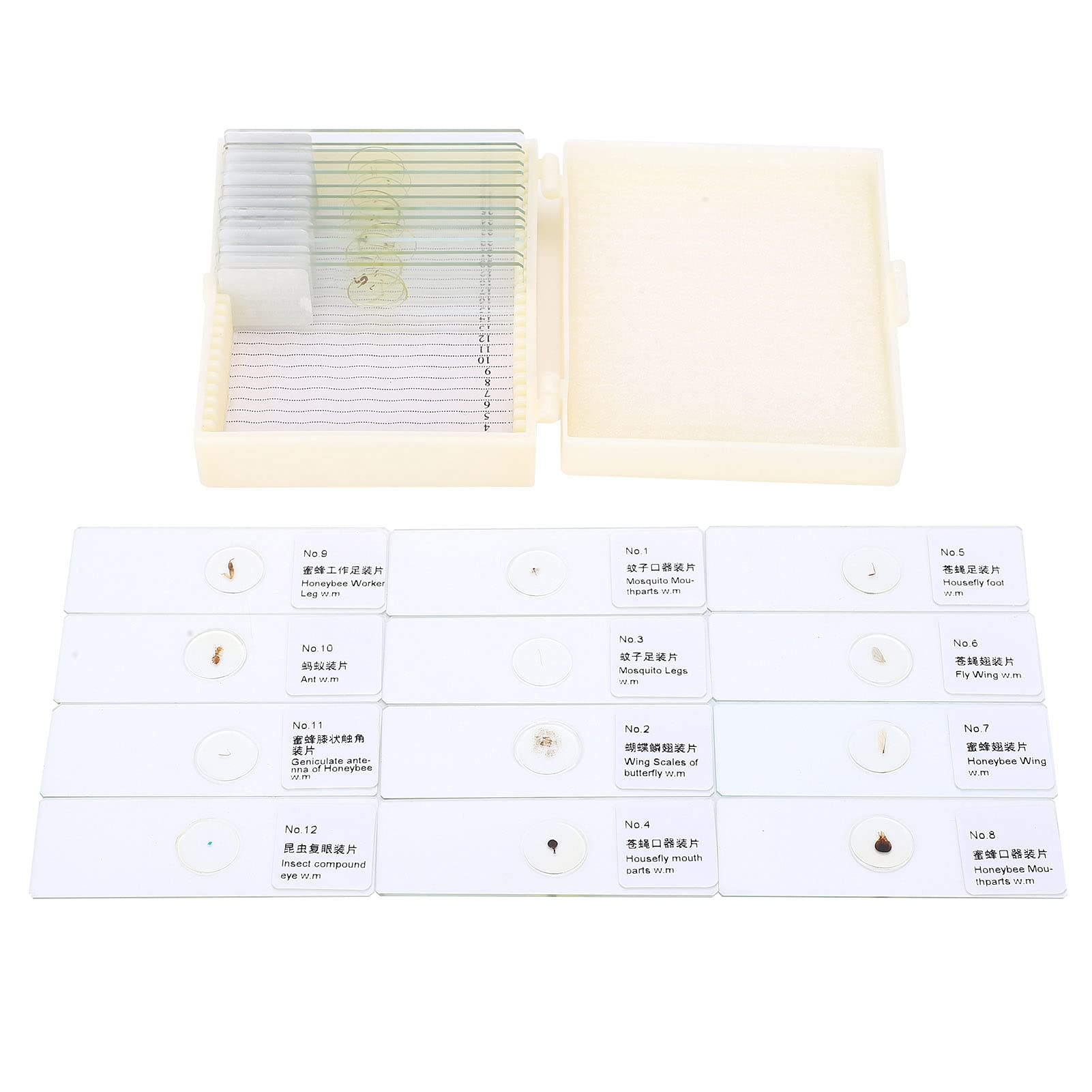25Pcs Microscope Slides with Specimens, PJH?25 Microscope Slides Set for Insects Biological Experiment Medicine Education for Kids Student Home School Use