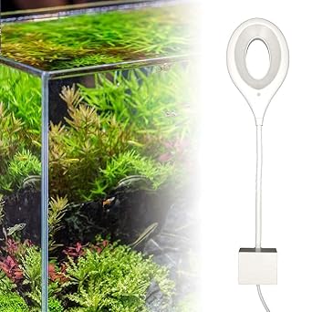 rs electrical aquarium