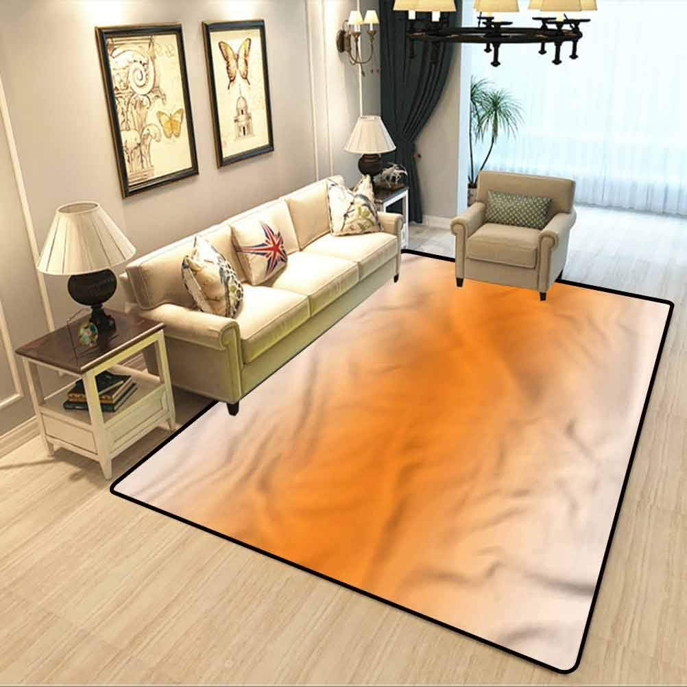 今野杏南 井川遥 安めぐみ 小向美奈子 小泉麻耶 グラビアまとめ売り