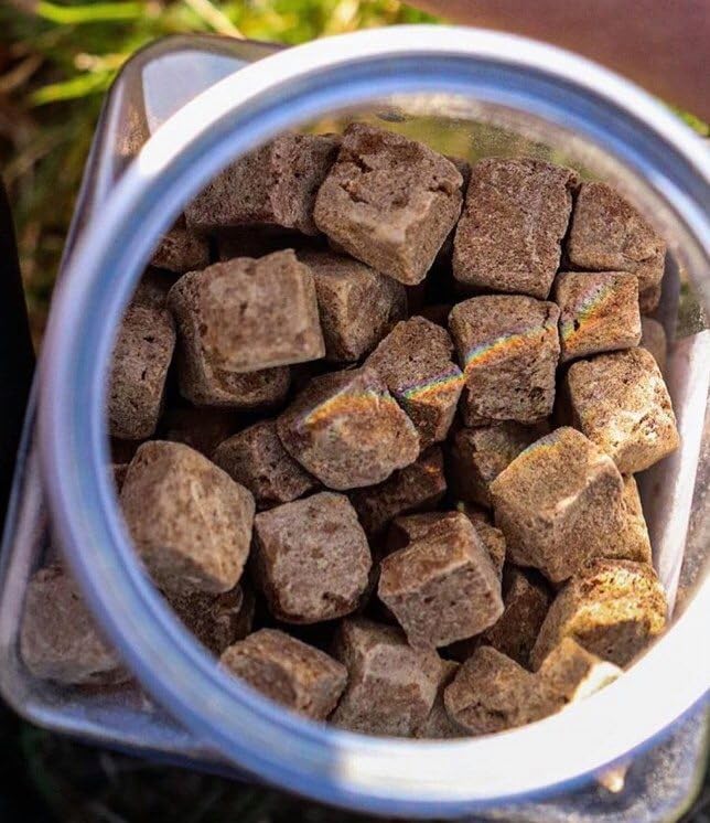 KIWI WALKER Gefriergetrocknete Leckerlis für Hunde | Geschmacksmix (1 Packung, Ente)