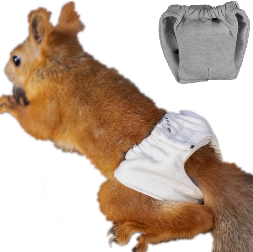 FORZENA Reusable Squirrel Diapers Highly Absorbent with Strong Flexible Pants No Leak Washable Diapers Urine Wet Pants for Squirrel,Fancy Rat,Groundhog (M (3.9