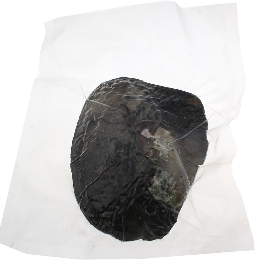 Oyster with Pearl Inside, Freshwater Cultured Oval Pearl Beads (5-7mm about 18pcs Pearls) Gifts