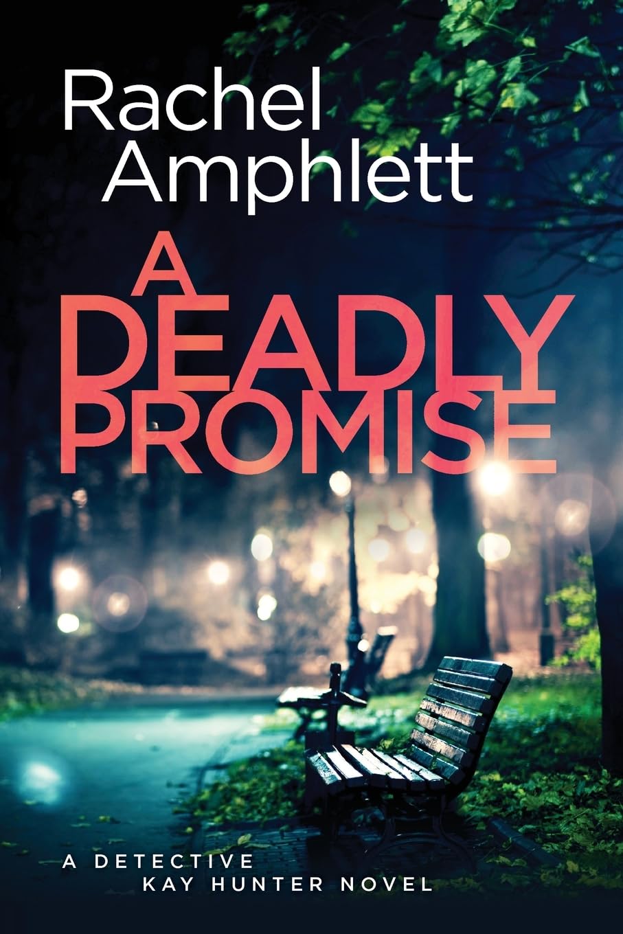 A Deadly Promise: A Detective Kay Hunter crime thriller: 13