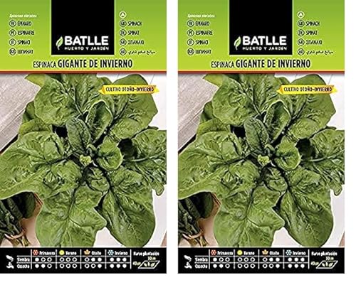 Semillas Batlle Espinaca GIGANTE DE INVIERNO (Paquete de 2)