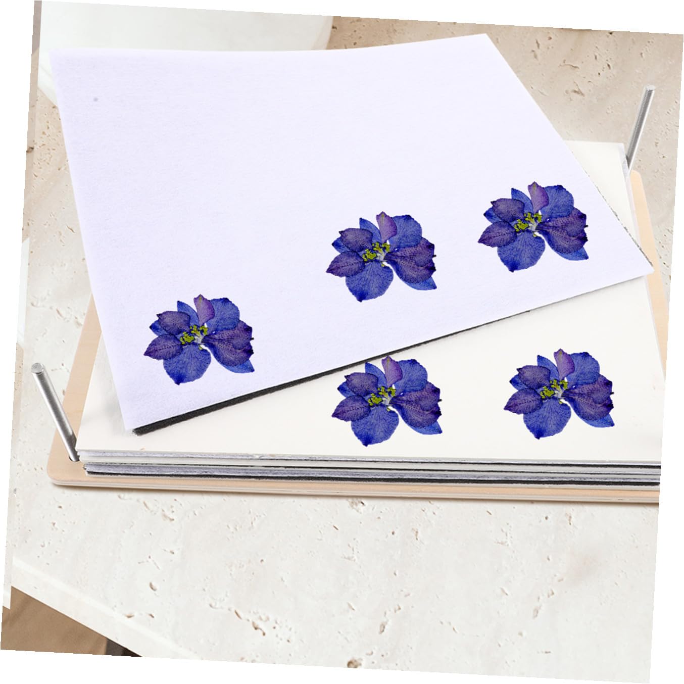 SUPVOX Strumento Professionale per Pressatura Fiori Piastre Essicanti Riciclabili in Legno e Metallo Kit per Foglie e Fiori, per Attività DIY per Adolescenti