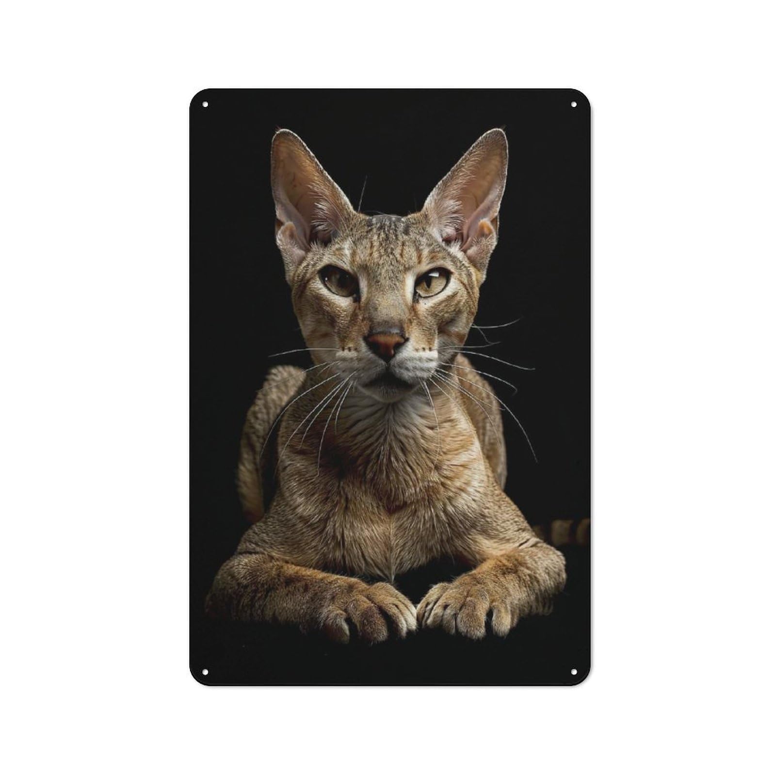 Junmoney Style-23 Vintage Tin Sign 30X20cm With Oriental Shorthair For Man Cave Or Games Room, For Winter Room Styling In Man Cave And Games Room