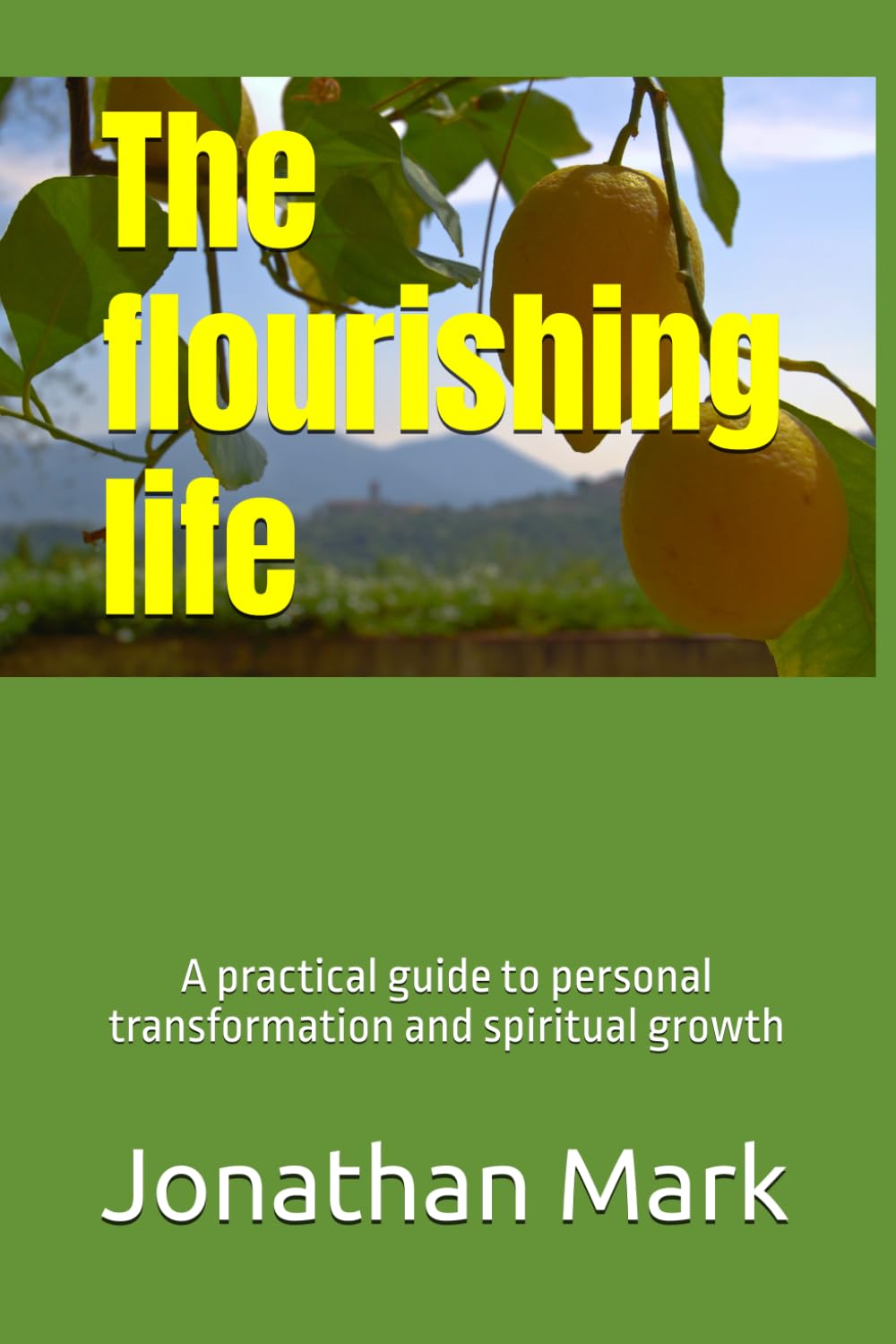 The flourishing life: A practical guide to personal transformation and spiritual growth