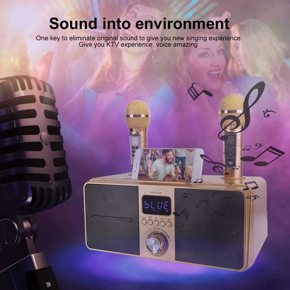 Bewinner1 Karaoke Bluetooth, Casse Karaoke con 2 Microfoni Wireless, PA Bluetooth Portatile, Altoparlante Karaoke con Supporto per Cellulare/USB/TF/AUX