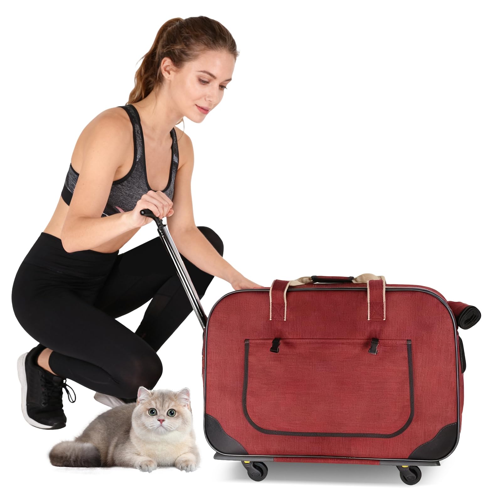 PETCUTE Transportín para Mascotas con Ruedas y Asa Telescópica,Plegable Bolso de Transporte para Gatos y Perros con Alfombrilla Extraíble,Cinturón de Seguridad,Transportín Gato,Carga Máxima 17.5kg
