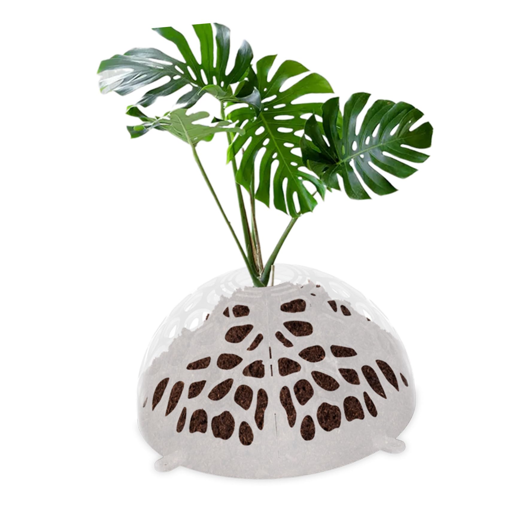 Parliky 1Set Breathable Floral Cover Plastic Air Cover for Orchids Use Easy Snap Installation Durable Plants Planter Cap