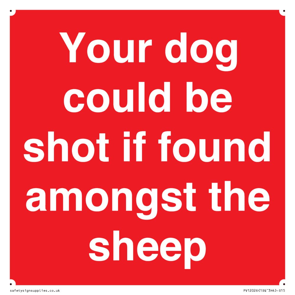 Your dog could be shot if found amongst the sheep Sign - 150x150mm - S15