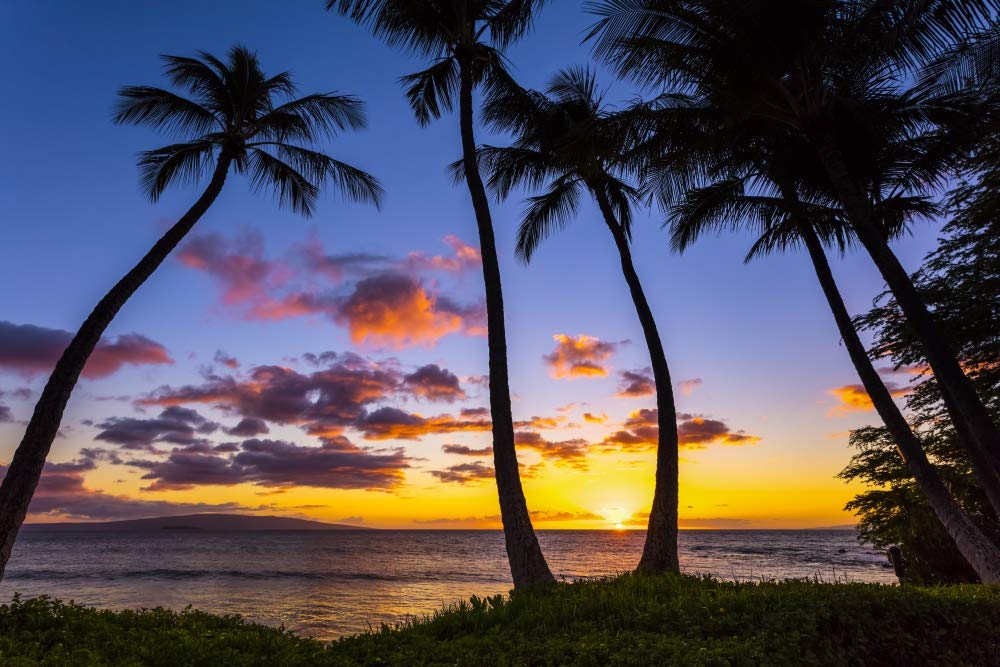 Posterazzi DPI12547161LARGE Impresión enmarcada de The Sun Setting Through Silhouetted Palm Trees Wailea, Maui, Hawaii, Estados Unidos de América, 96 x 61 cm, multicolor