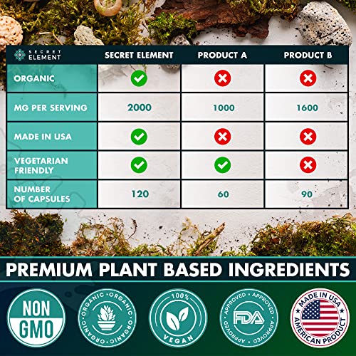 Organic Sea Moss Capsules - Burdock Root, Irish Moss And Bladderwrack Capsules For Immune System, Gut, Skin & Energy - 120 Irish Seamoss Pills With Raw Sea Moss Powder #TOP6