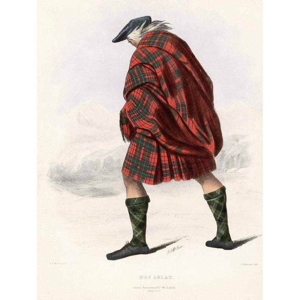 Wee Blue Coo Painting Portrait Highland Clan Scotland Tartan Macaulay Art Print Poster Wall Decor 12X16 Inch