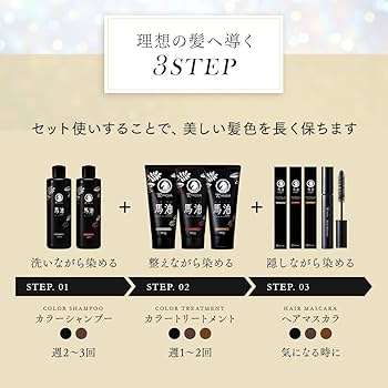 ダークブラウン カラーシャンプー 500ml 2本セット テンスター カラーシャンプー ダークブラウン ( 300ml