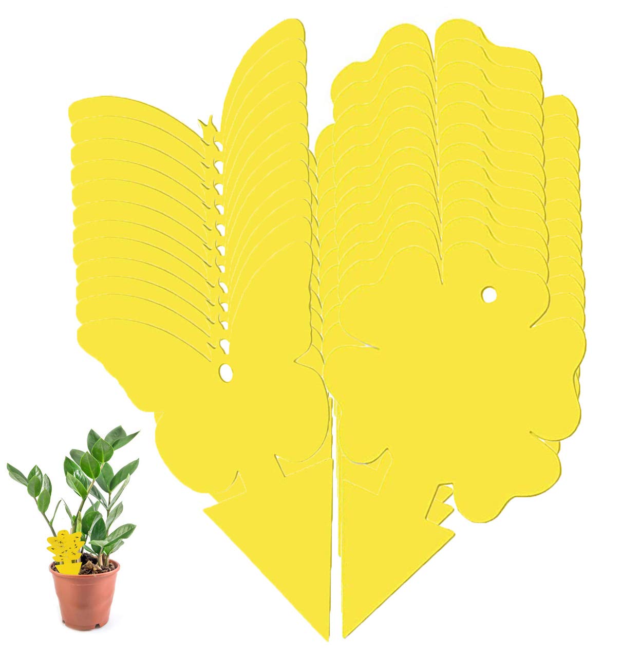 SoulQ Dual-Sided Yellow Fruit Fly Sticky,Pest Control traps for Mosquitos Whitefly Fungus Gnat Leafminer Aphid Small Insects - Houseplant Bug Catcher(Butterfly12 Flower12)