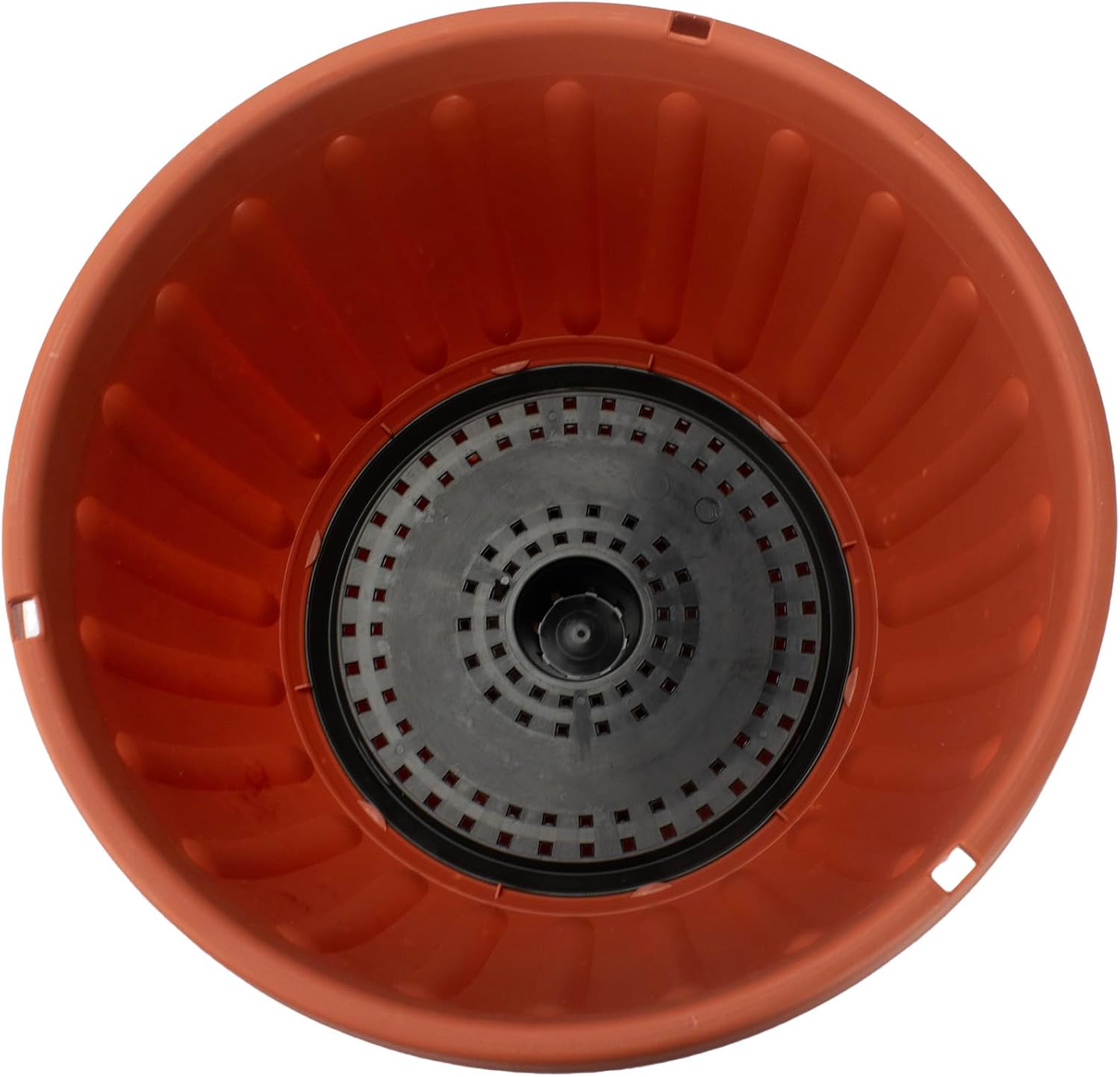 The HC Companies 12 Inch Terra Roma Hanging Planter for Indoor Plants - Round Plant Hanging Basket with Drainage Hole, Clay (Pack of 2)