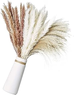 Natural Dried Pampas Grass Decor| 60Pcs 20.8" Dried Pompas for Vase Decor Pampas Grass Bouquet for Home Kitchen Garden Par...
