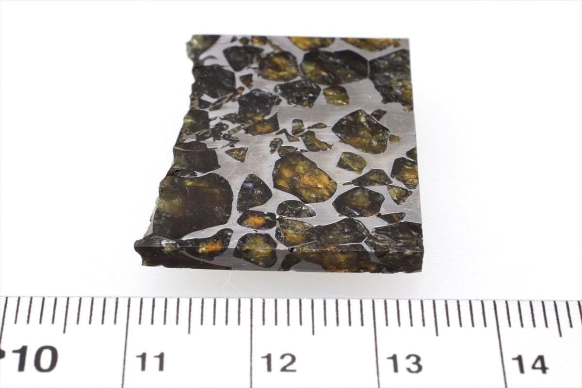 セイムチャン隕石 最高品質 一点物 BIGサイズ 隕石 パラサイト隕石隕石 セイムチャン隕石 最高品質 一点物 BIGサイズ 隕石 パラサイト隕石隕石