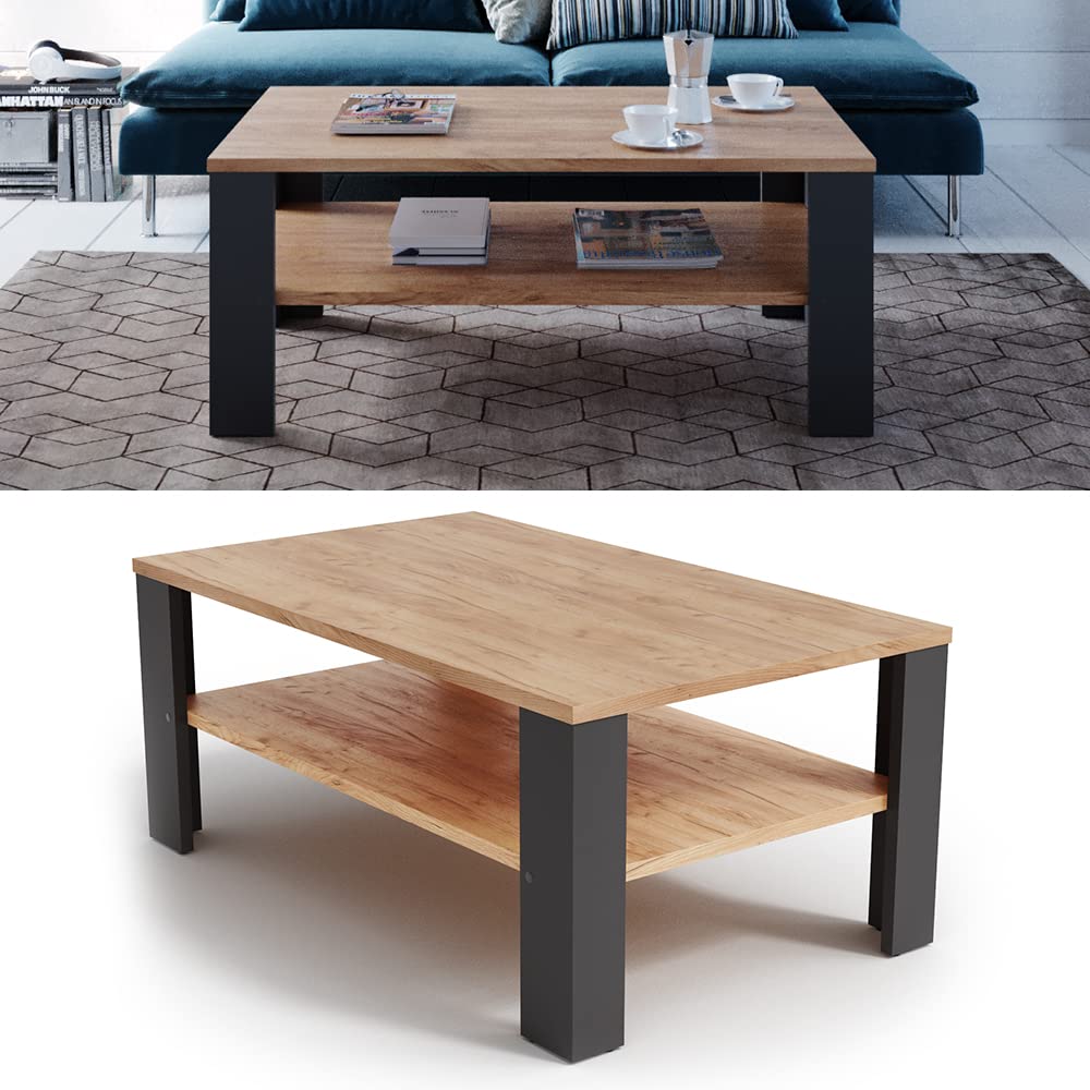 Vicco Couchtisch, Anthrazit, 100 x 60 cm | mit offenem Ablagefach zur Aufbewahrung von Zeitschriften