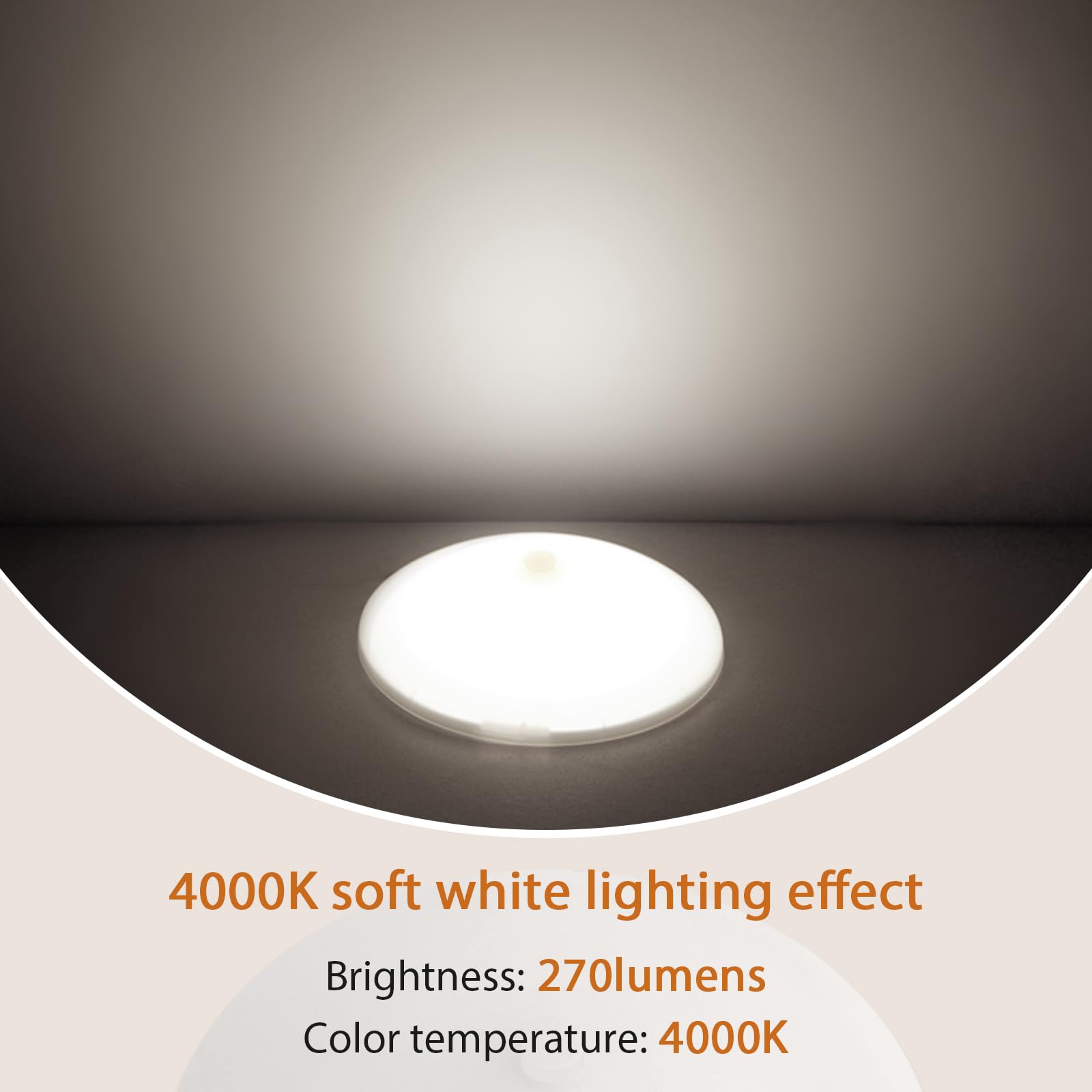 Amazon.com: Dream lighting RV Interior LED Lights 12volt Led