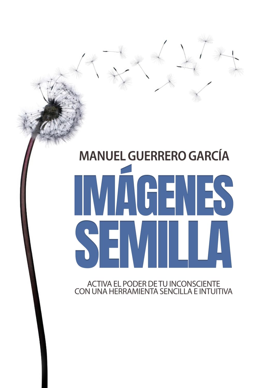 IMÁGENES SEMILLA: Activa el poder de tu inconsciente con una herramienta sencilla e intuitiva