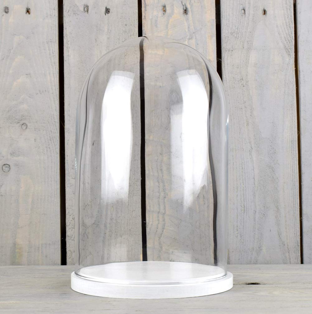 EMH Small Glass Dome Display Cover Cloche White Wooden Base Height 27.5cm