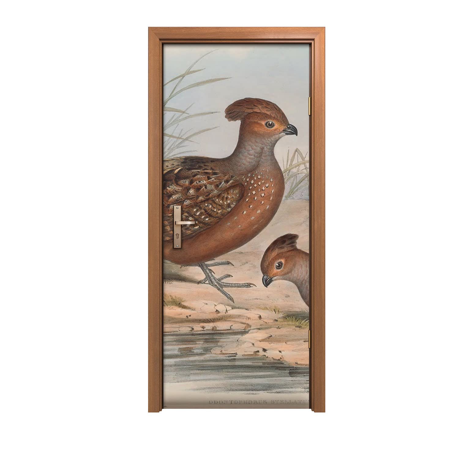 Autocollant de porte pour relooker une entrée usée motif oiseaux