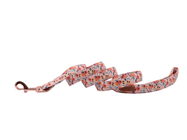 Foto 2 de 2 de Unique Style Paws Correa para perro con cómodas correas de mango de algodón