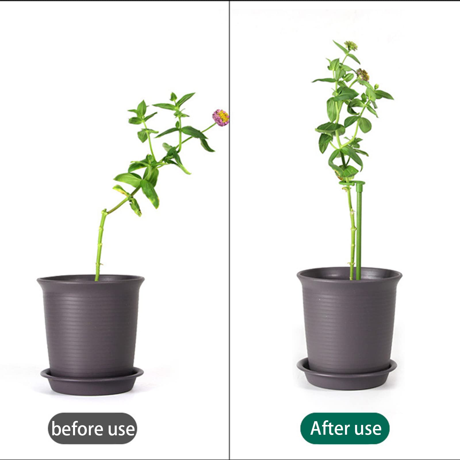 HiGift Pflanzenstützen 10 Stück 43cm Mit 20 Clips - Metall Blumenstützen Einzelstiel