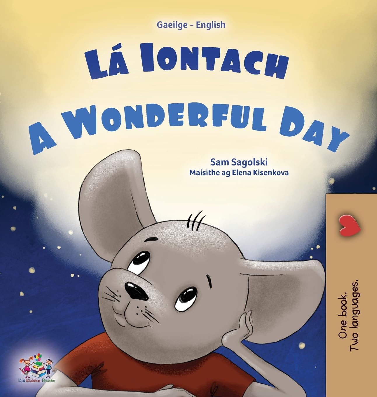 A Wonderful Day (Irish English Bilingual Book for Kids) (Irish English Bilingual Collection)
