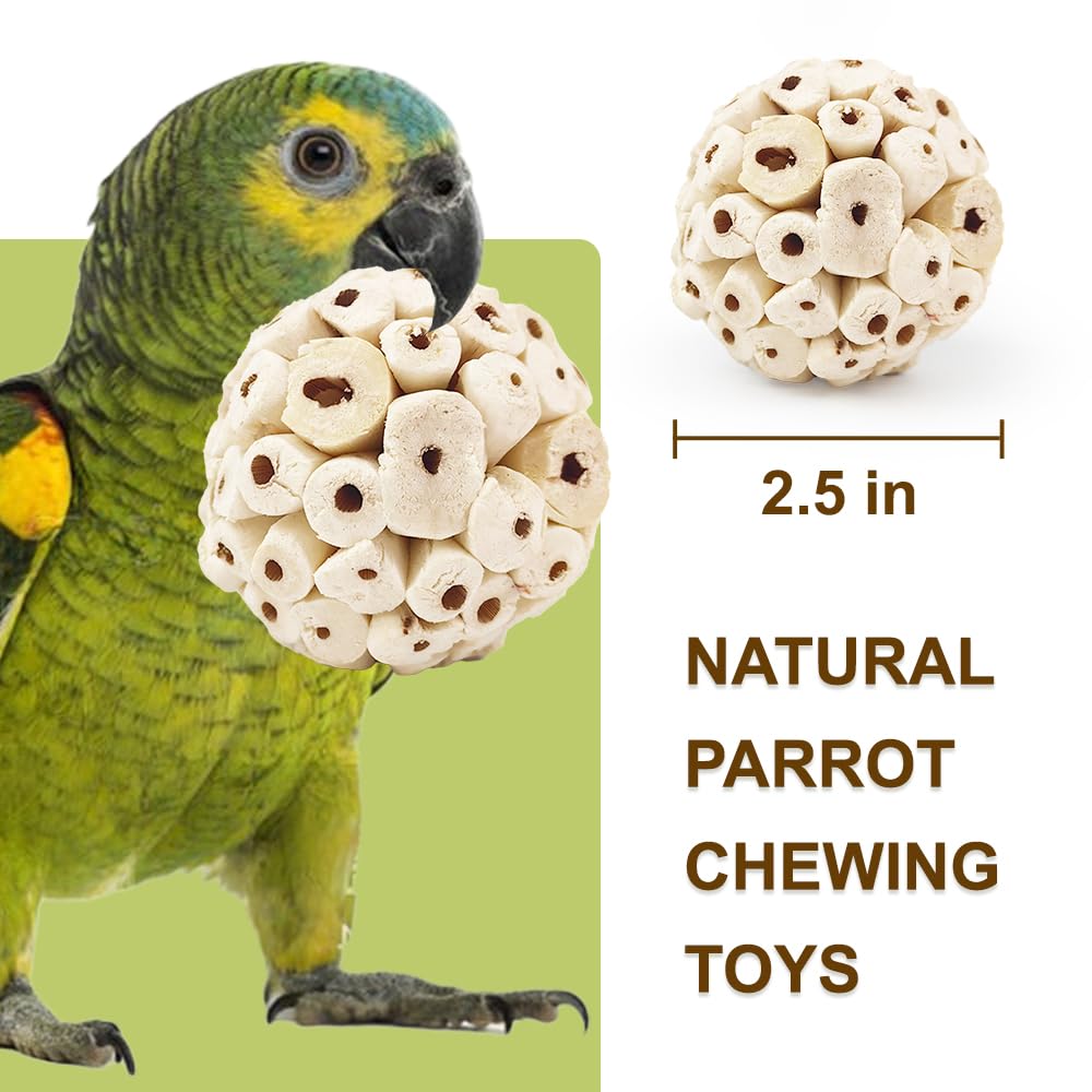 7Pcs Bird Toys for Parrots - Natural Soft Chew Shredding & Foraging Toy for Cockatiel Conure Quaker Parrot Budgie Parakeet Rabbit Bunny Guinea Pig Chinchilla - image 7