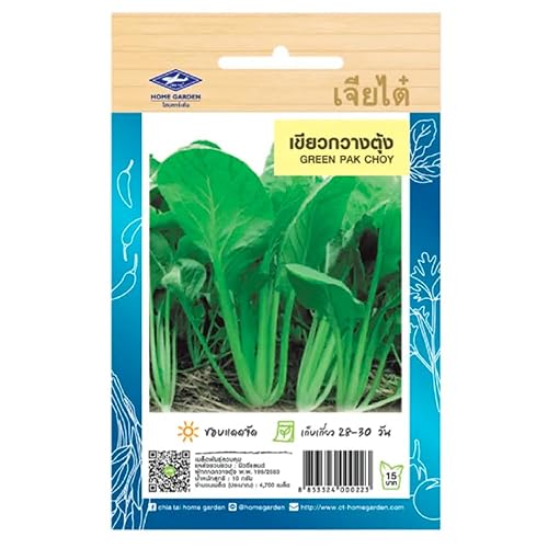 Graines de Green Pak Choy – Chou Chinois Vert –