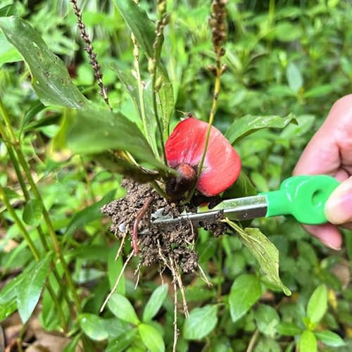 SOIMISS Gartenpinzette, Tragbare Edelstahlpinzette Große, Lange Unkrautpinzette Pinzette, Pflanzenpinzette, Bonsai-Pinzette Für Gartenpflanzen Haushalt und Gemüsebeete
