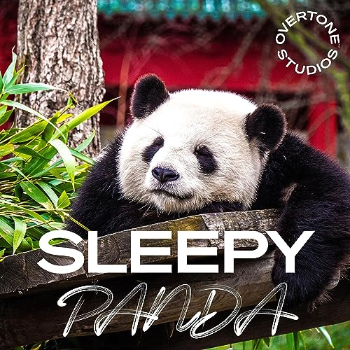 Page de couverture de Sleepy Panda