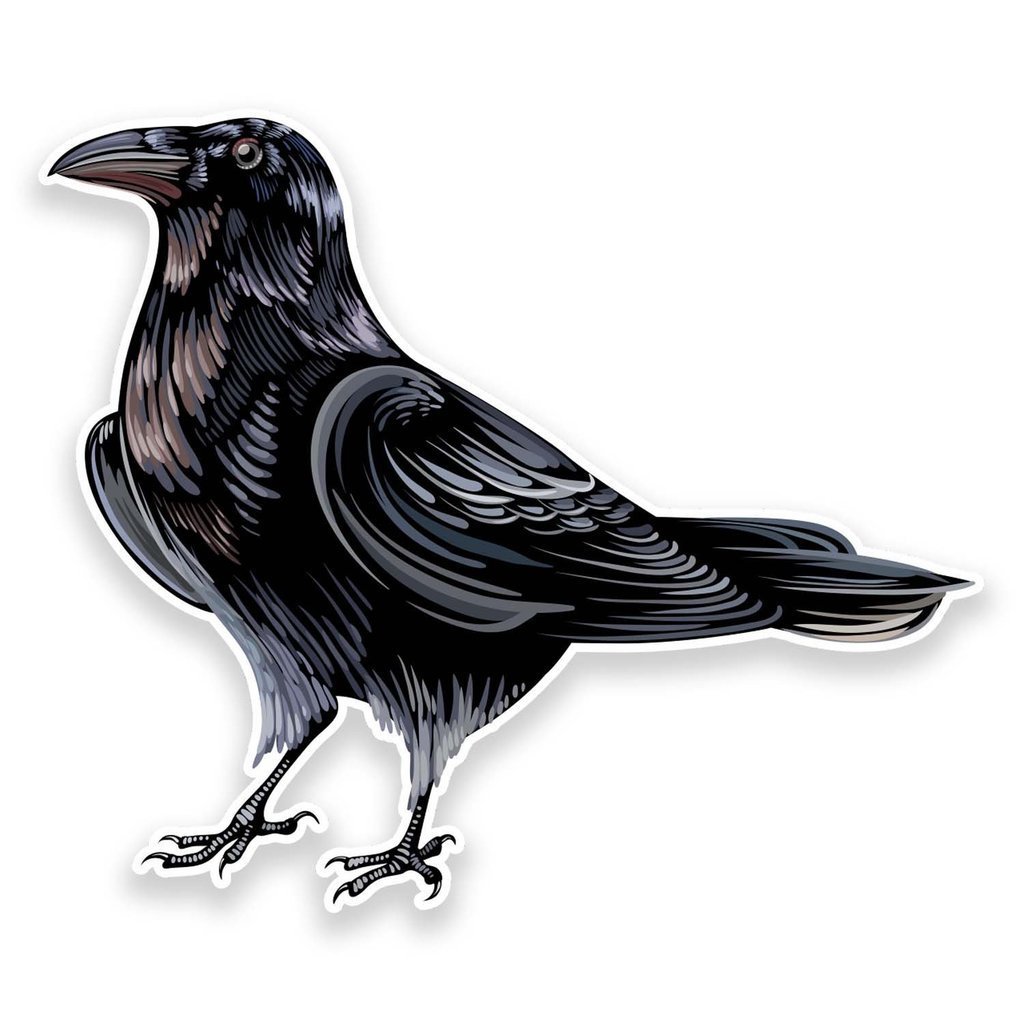 Destinationvinyl 2 X 15Cm/150Mm Raven Crow Window Cling Sticker Car Van Campervan Glass #9191