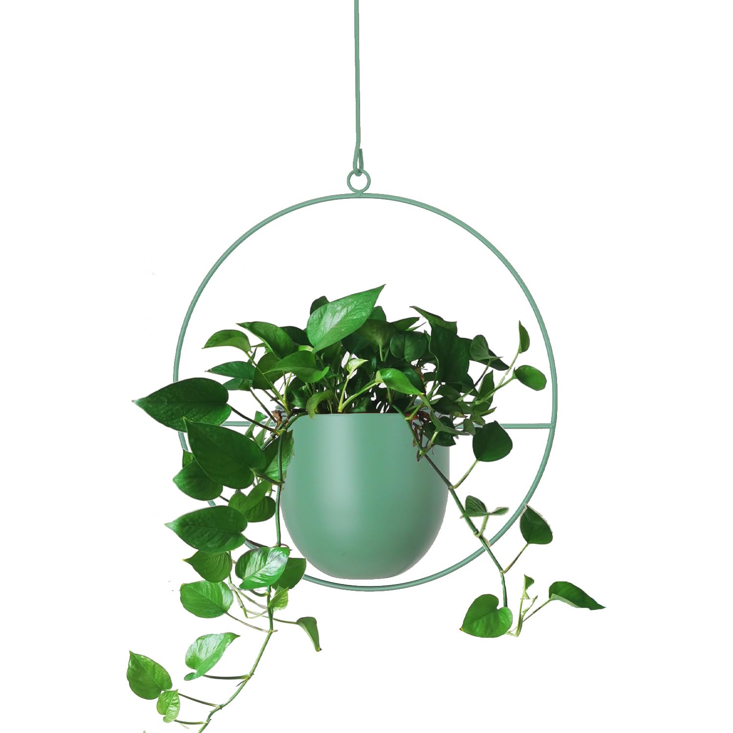 ABETREE Macetas Colgantes De Metal De 2 Niveles Para Interiores Y  Exteriores, Perchas Modernas Para Plantas, image size:1500x1500