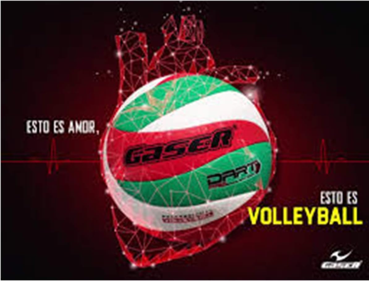 Gaser Volleyball Ball No.5 Laminated Dart
