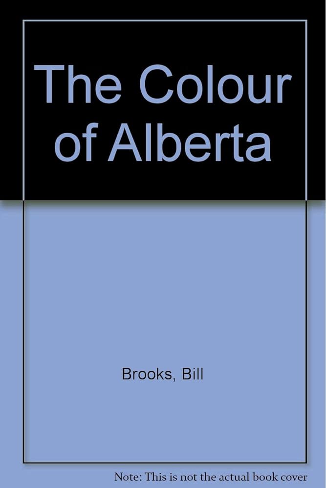 The Colour of a by Bill Brooks 洋書 Usborne Books Big Book of Colors: Felicity Brooks