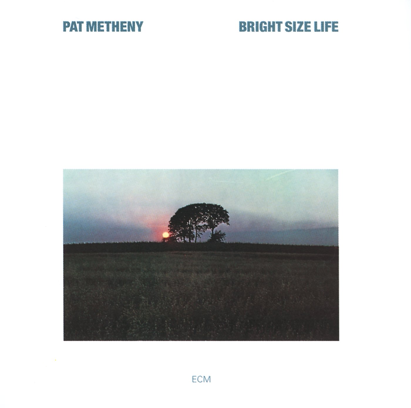 Pat Metheny